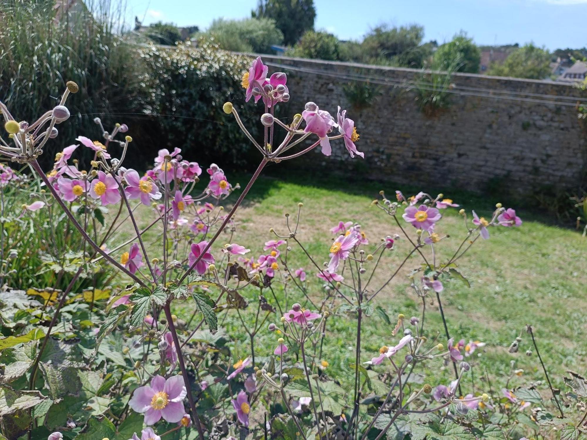 Villa Belle Vie A 30 Metres De La Plage Ver-sur-Mer Exteriér fotografie